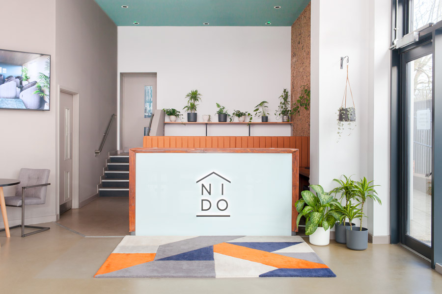 rug