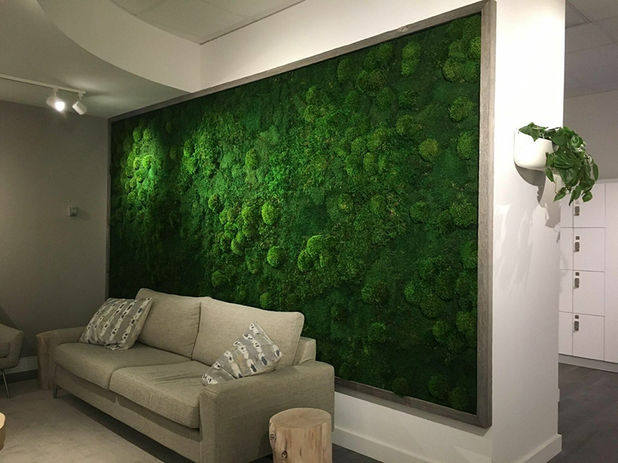 moss wall