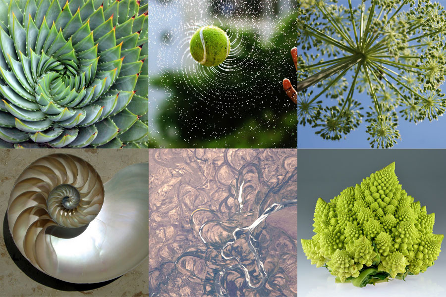 natural patterns