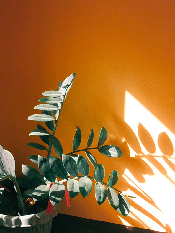 orange