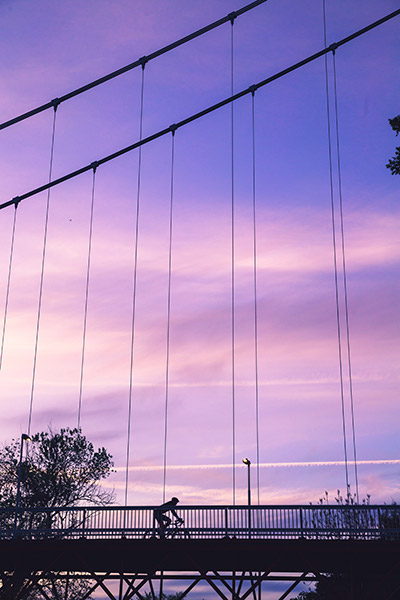 purple1
