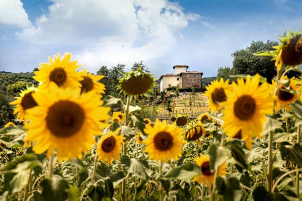 borgo-figline-valdarno-4