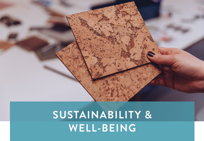 Sustainability and Well-Being 